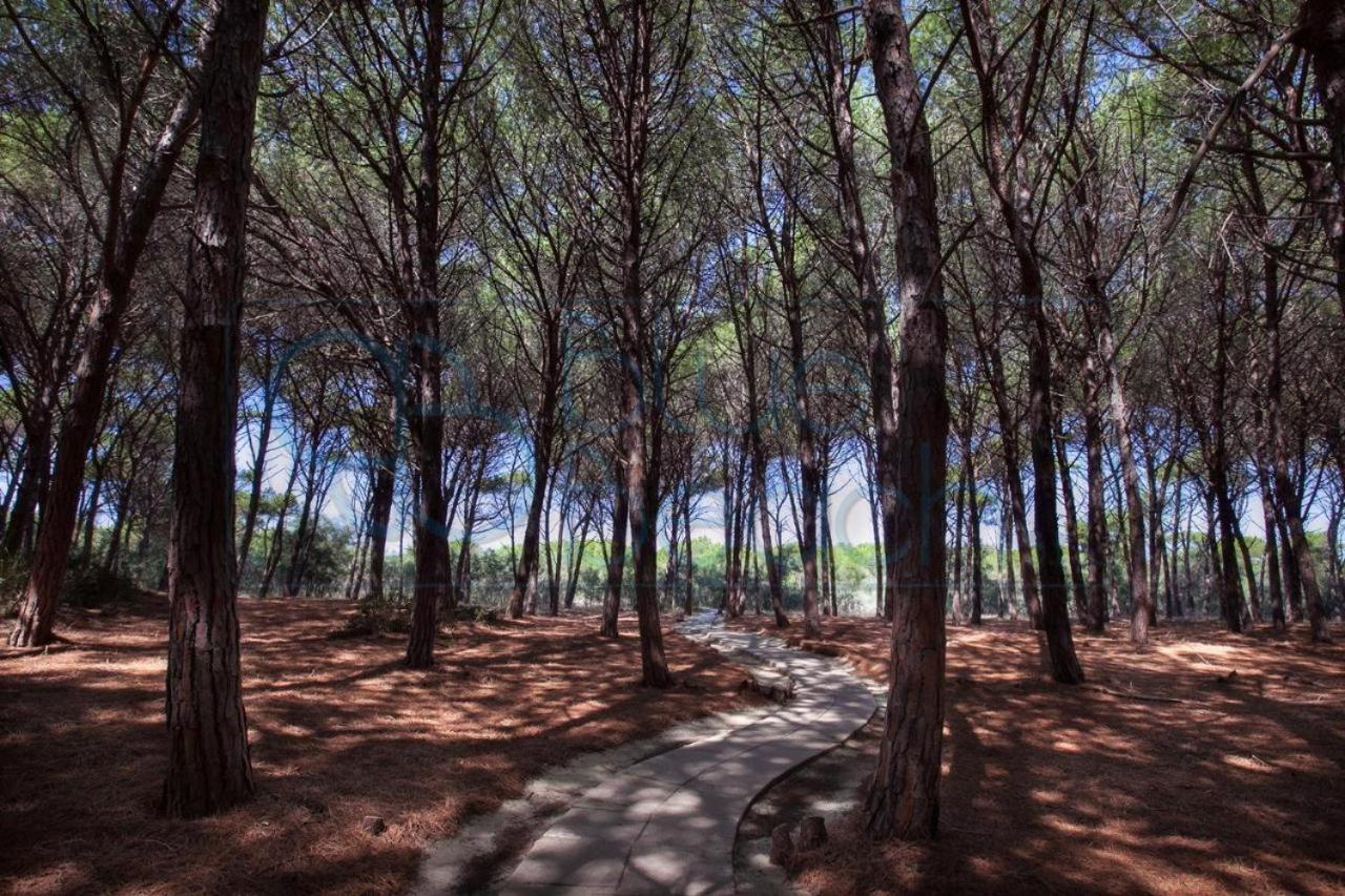 Appartamento Pizzo Beach Dış mekan fotoğraf